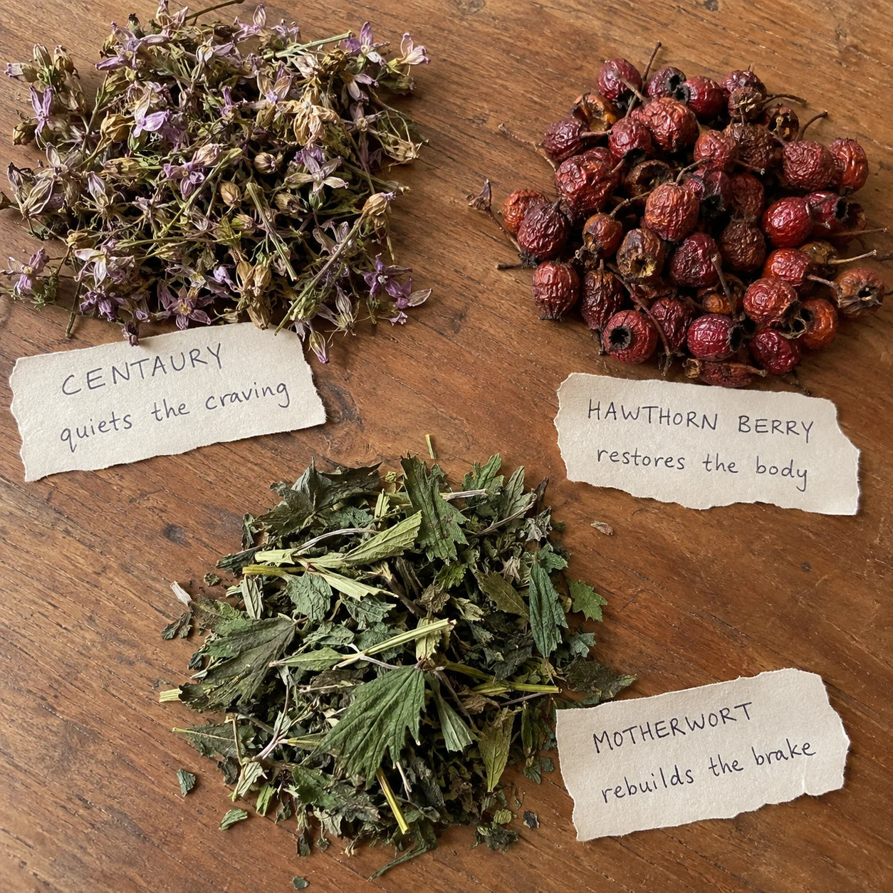 Centaury, Hawthorn Berry, and Motherwort laid out with handwritten labels