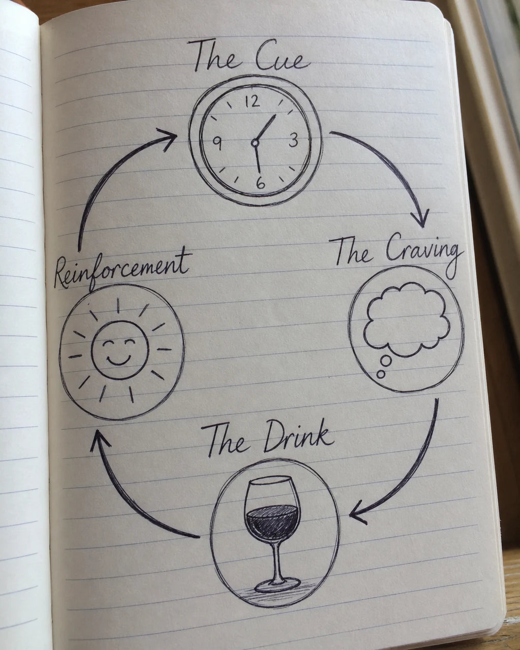 Hand-drawn journal diagram of the craving loop: the cue, the craving, the drink, reinforcement