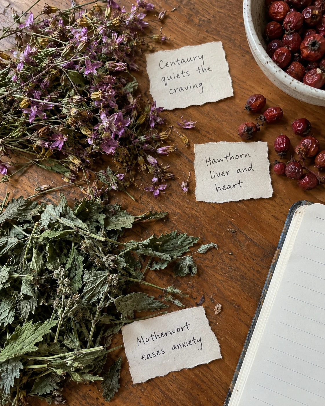 Centaury, Hawthorn Berry, and Motherwort herbs laid out with handwritten labels