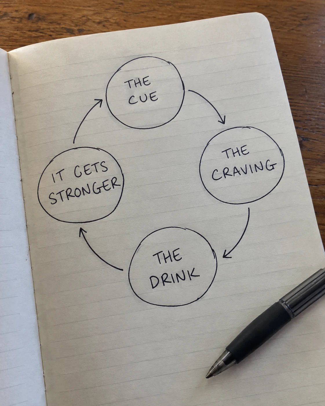 Hand-drawn journal diagram of the craving loop: the cue, the craving, the drink, it gets stronger