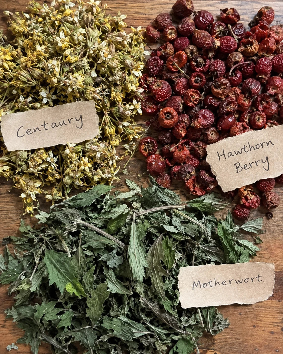 Centaury, Hawthorn Berry, and Motherwort herbs laid out with handwritten labels