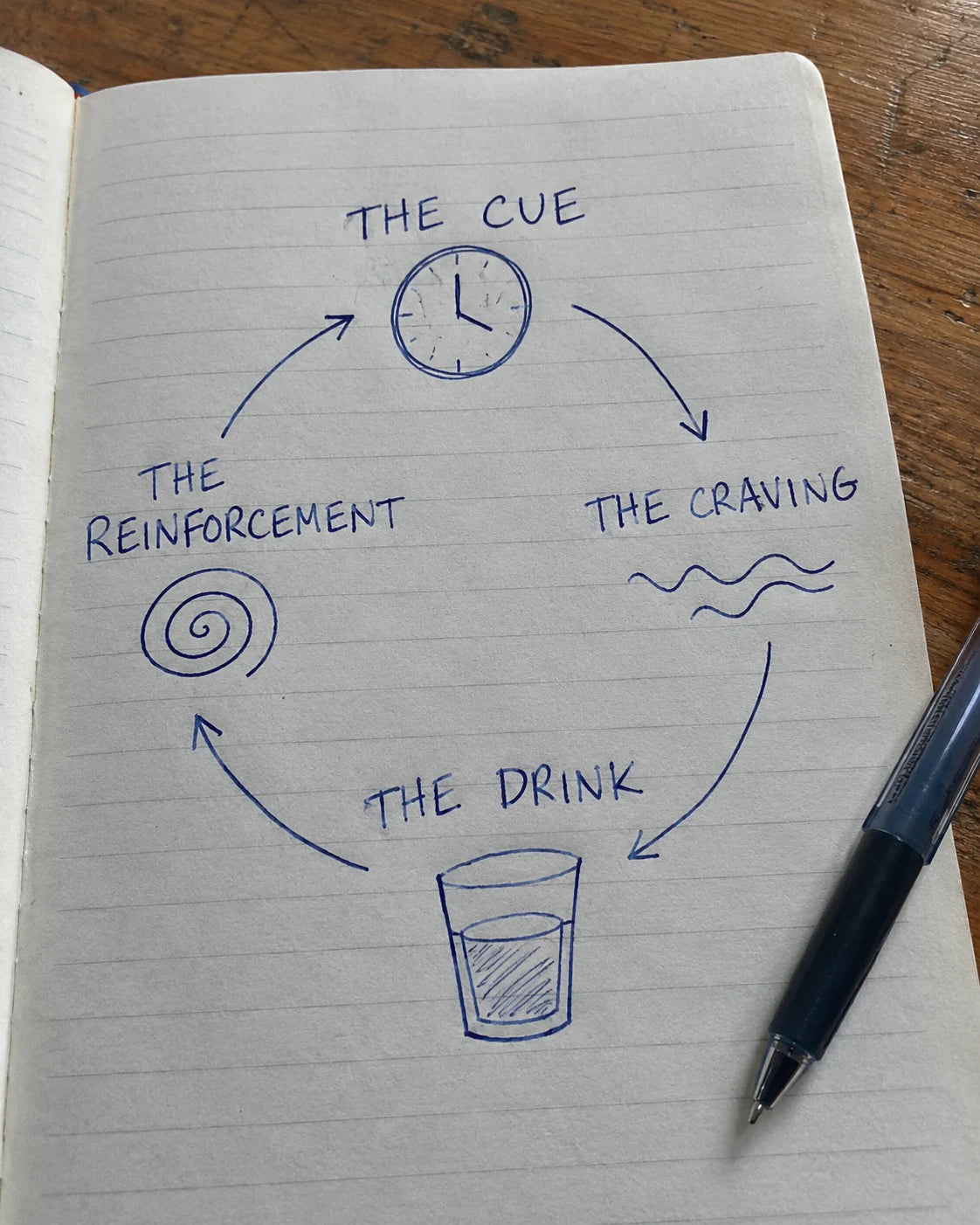 Hand-drawn journal diagram of the craving loop: the cue, the craving, the drink, the reinforcement