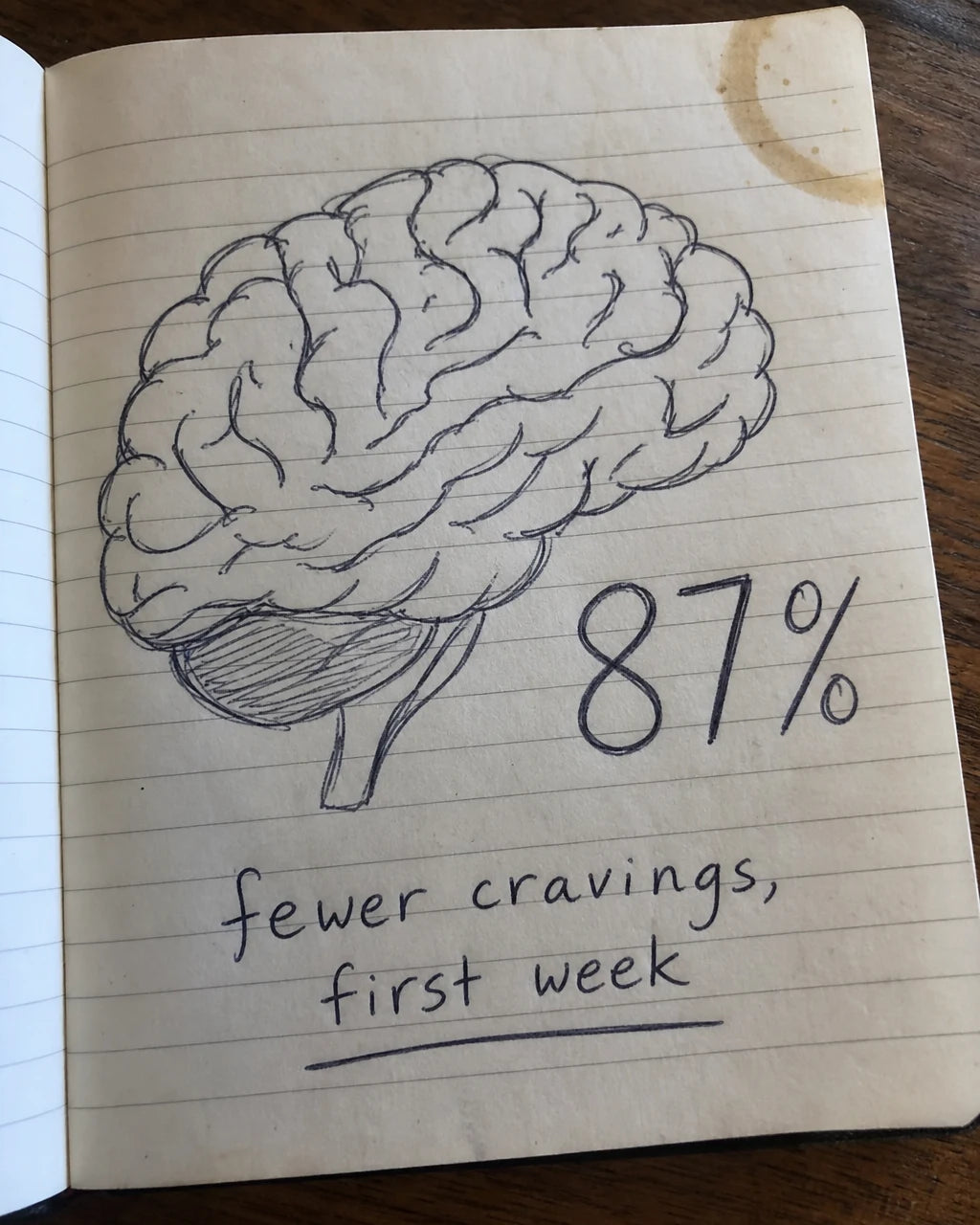 Handwritten journal page showing a brain sketch and 87 percent fewer cravings, first week