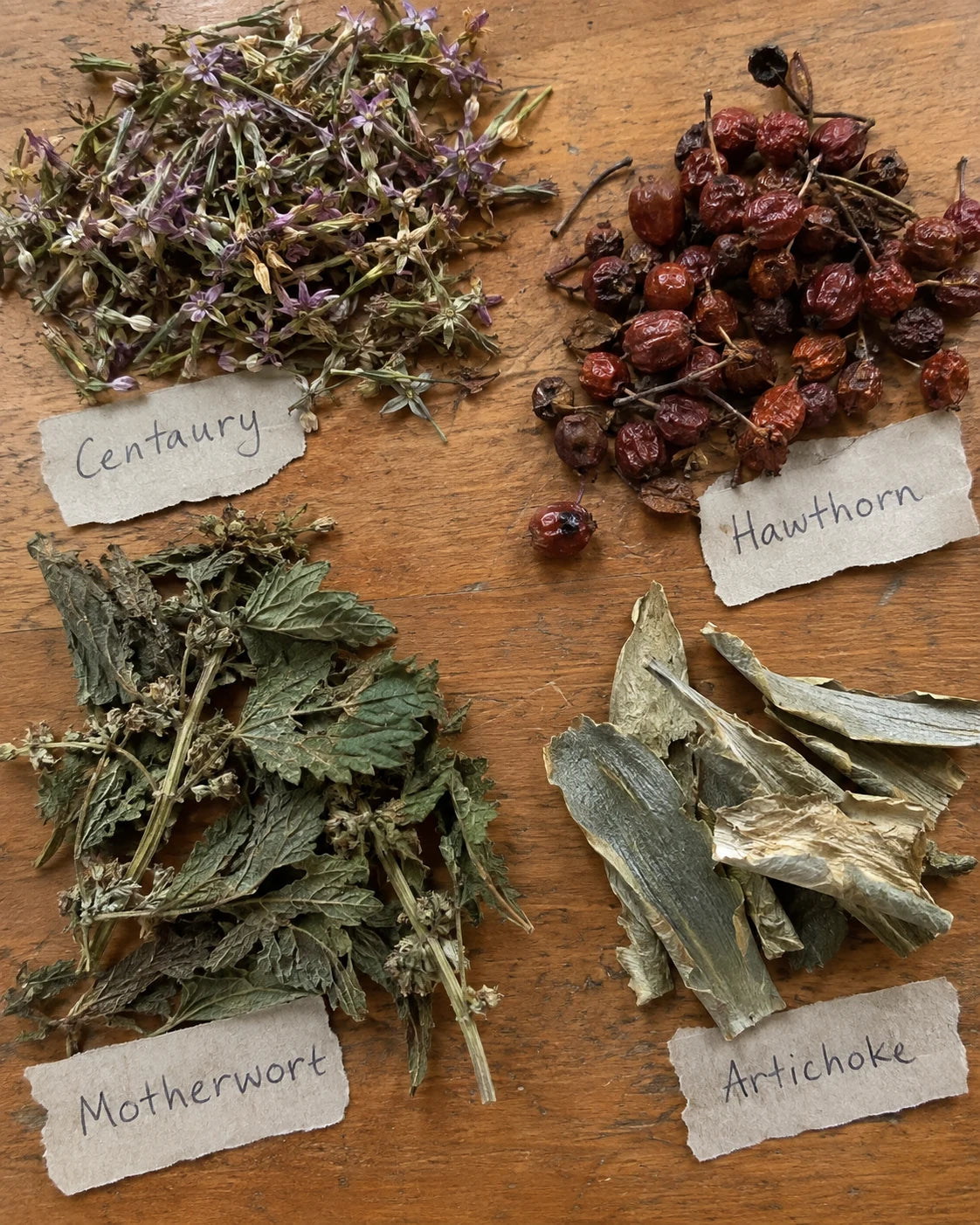 Centaury, Hawthorn, Motherwort, and Artichoke herbs laid out with handwritten labels