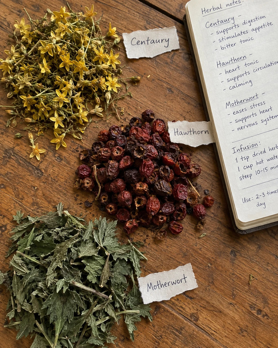 Centaury, Hawthorn Berry, and Motherwort herbs laid out with handwritten labels