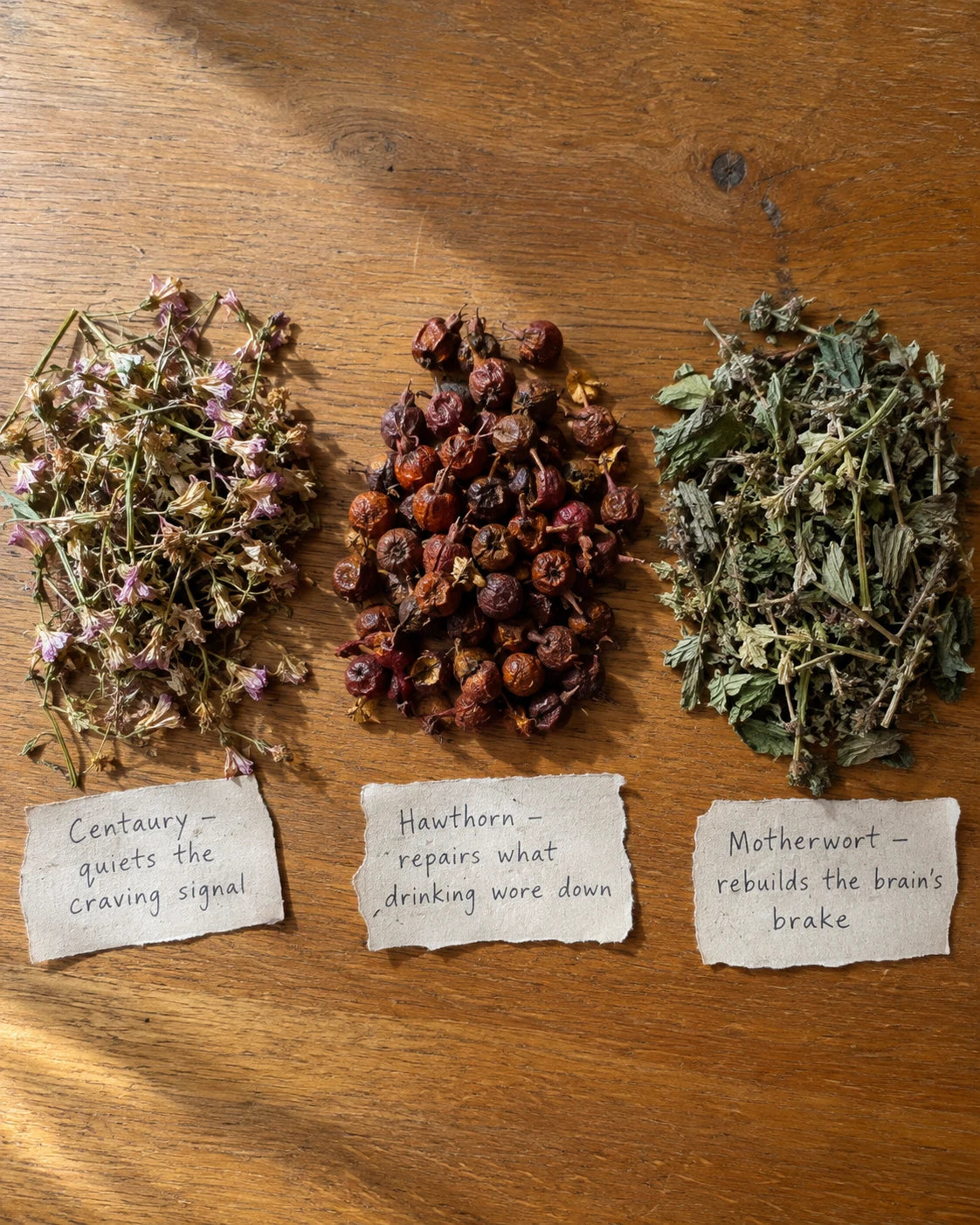 Centaury, Hawthorn, and Motherwort herbs laid out with handwritten labels