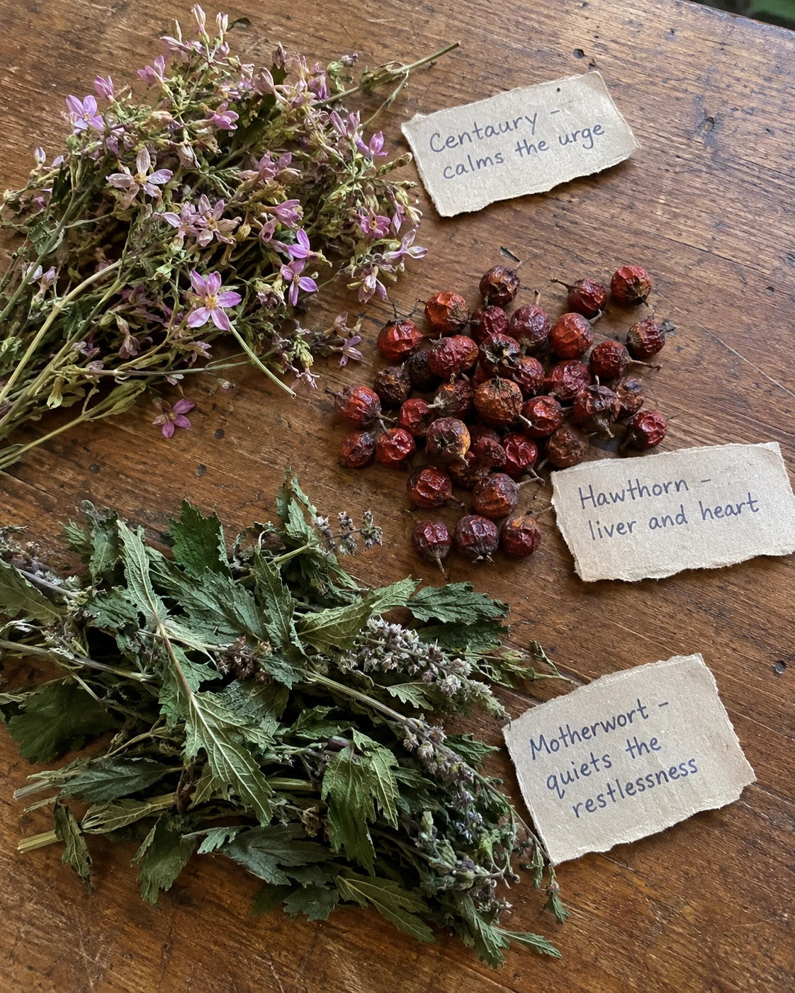 Centaury, Hawthorn, and Motherwort laid out with handwritten labels