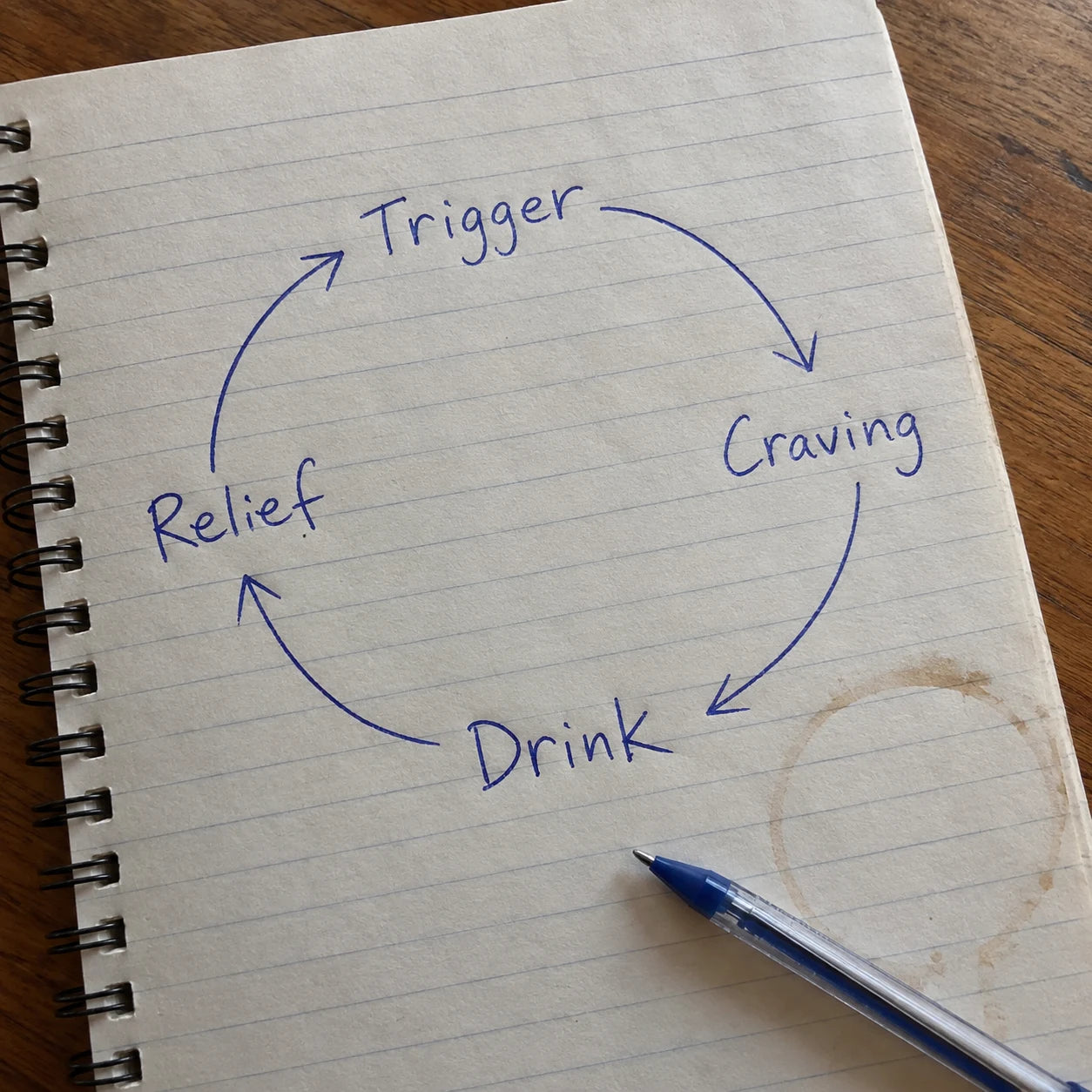 Handwritten notebook diagram of the craving loop cycle