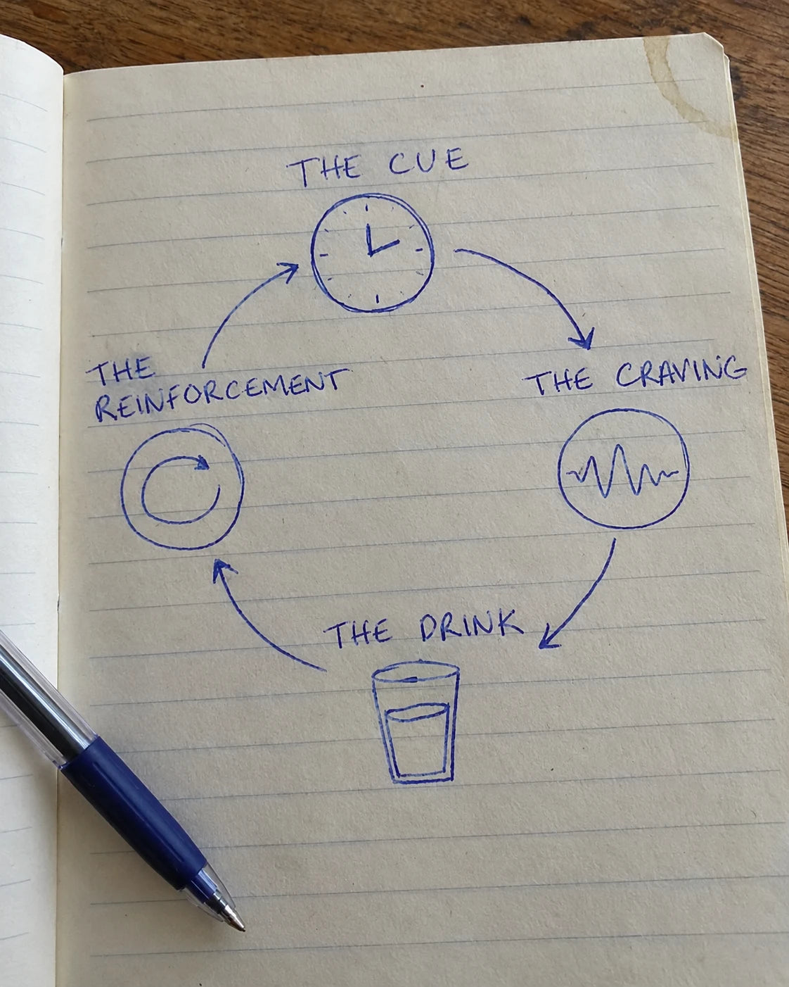 Hand-drawn journal diagram of the craving loop: the cue, the craving, the drink, the reinforcement
