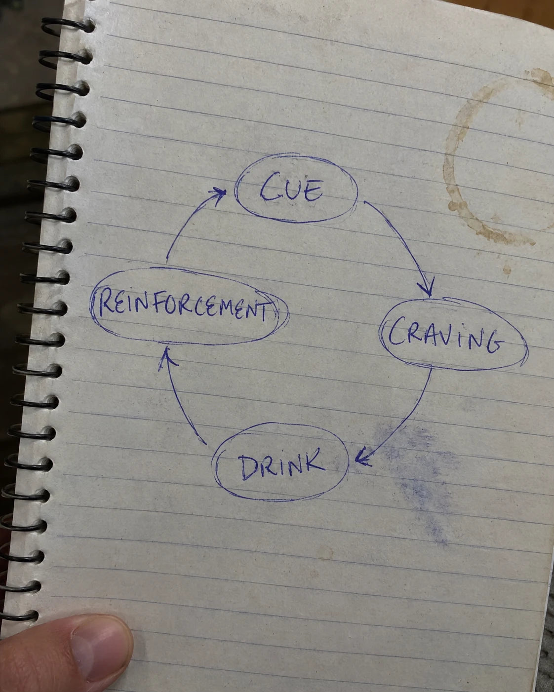 Hand-drawn journal diagram of the craving loop: cue, craving, drink, reinforcement
