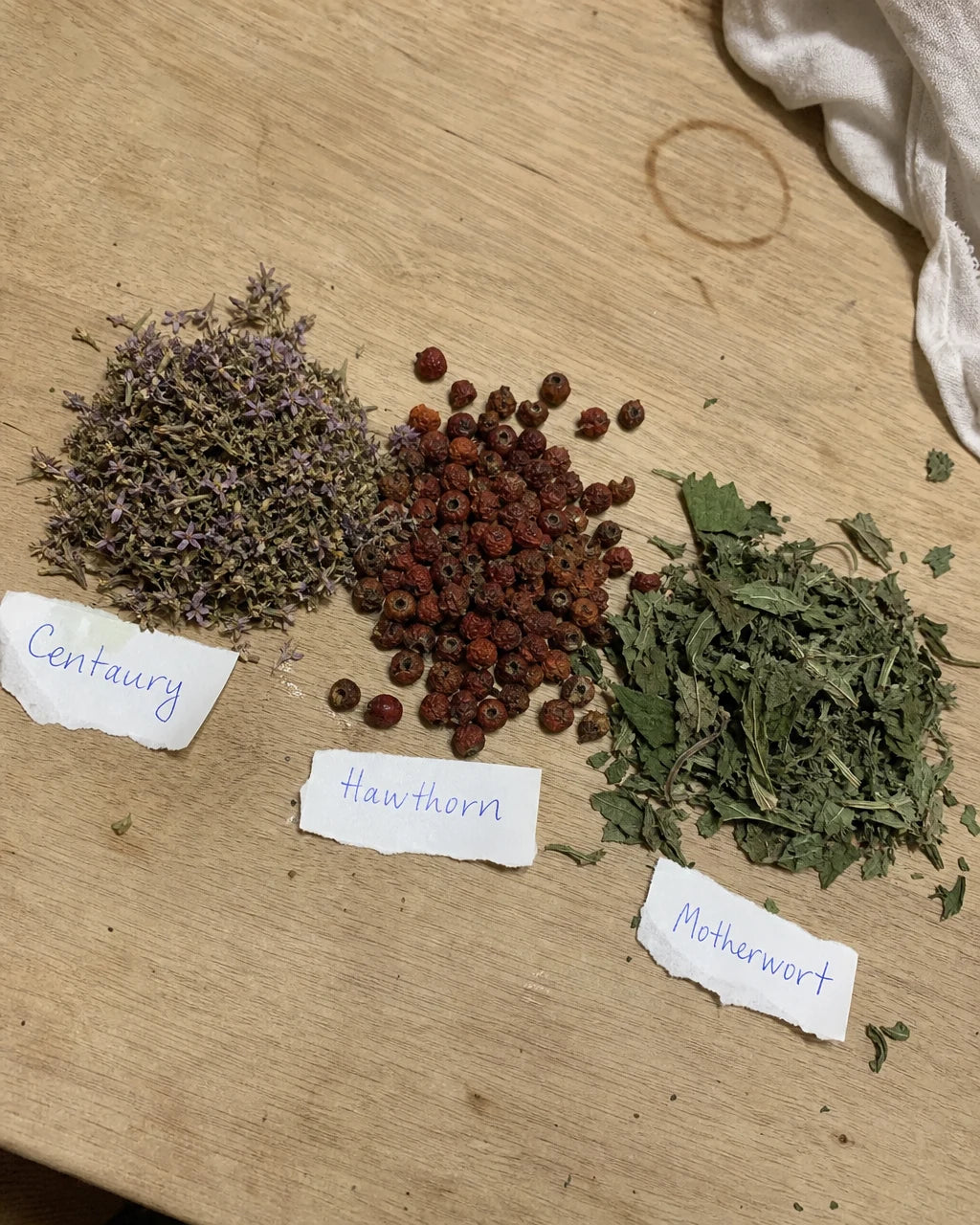 Dried centaury flowers, hawthorn berries, and motherwort leaves laid out with handwritten labels