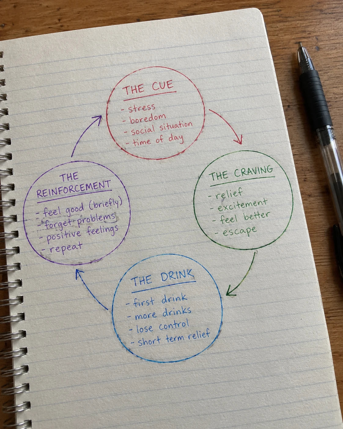 Hand-drawn journal diagram of the craving loop: the cue, the craving, the drink, the reinforcement