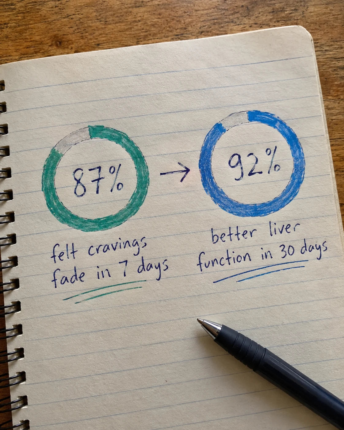 Hand-drawn journal page showing 87 percent felt cravings fade in 7 days and 92 percent better liver function in 30 days