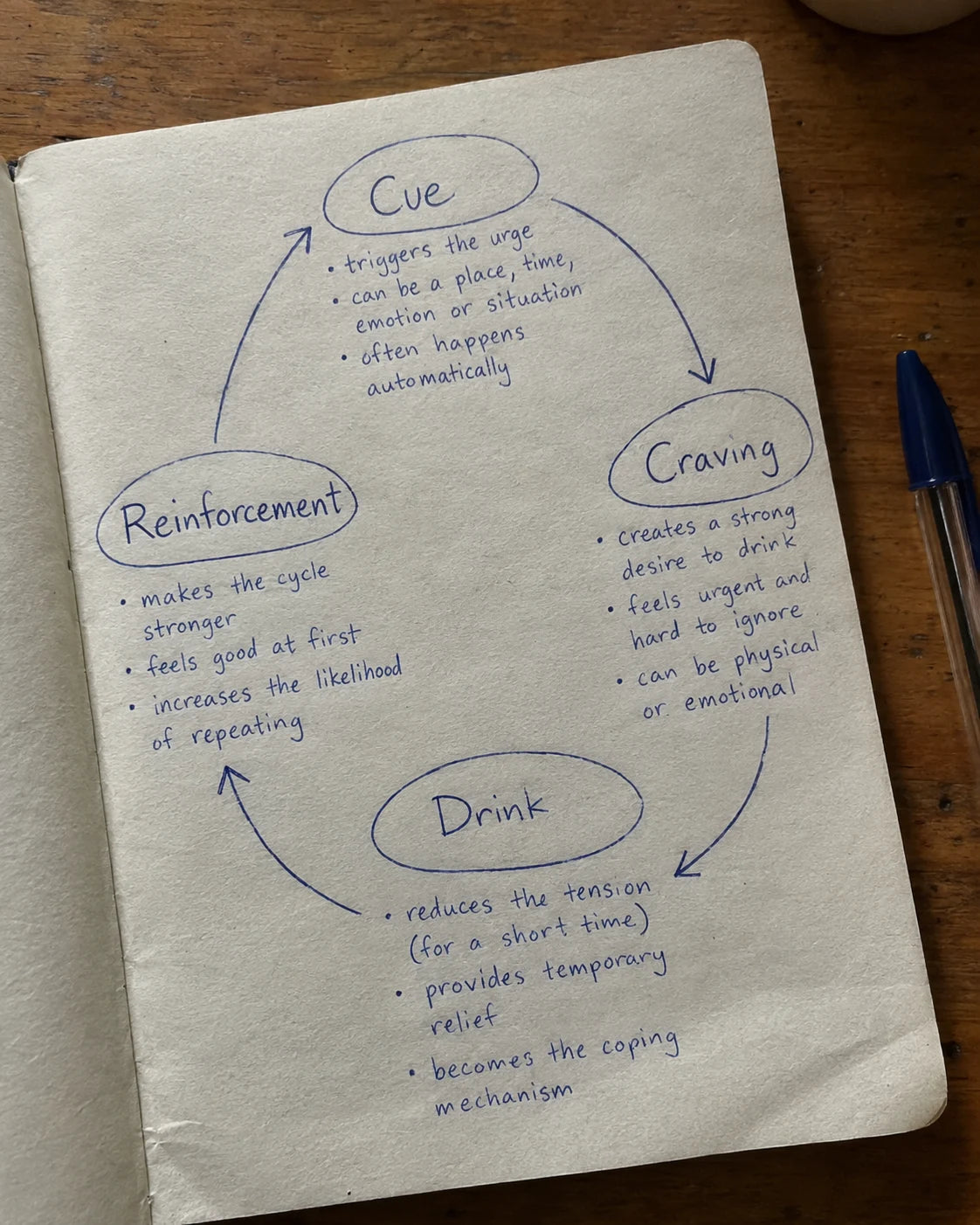 Handwritten journal page showing the craving loop diagram: cue, craving, drink, reinforcement