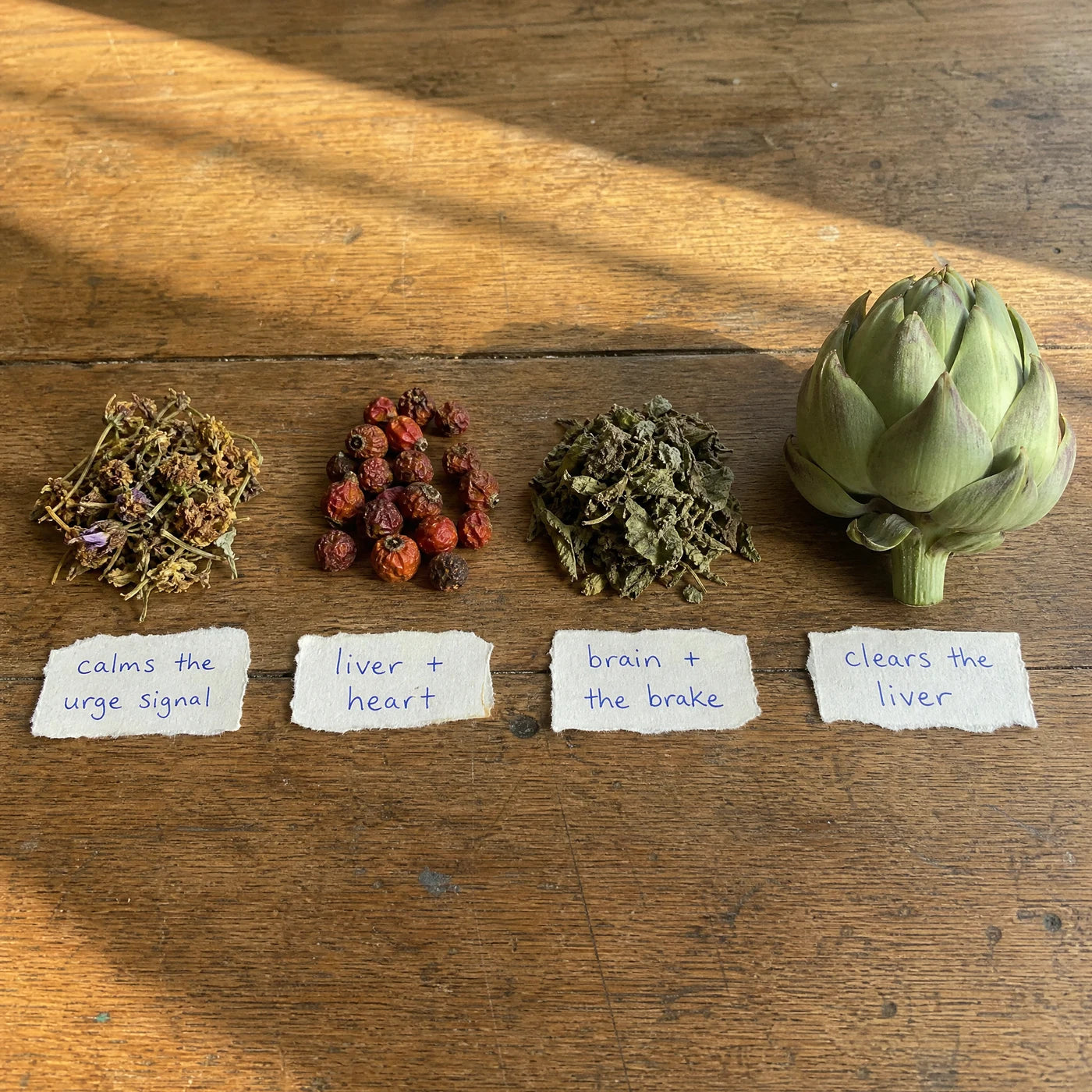 Four dried herbal ingredients laid out with handwritten tags: calms the urge signal, liver and heart, brain and the brake, clears the liver